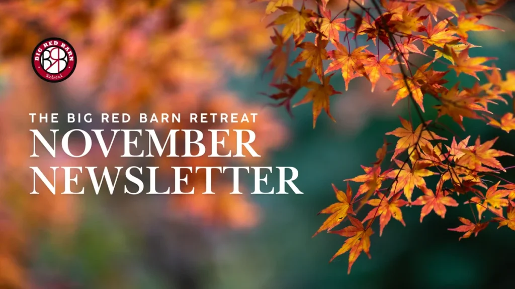 Orange autumn leaves with blurred background and text: November Newsletter, The Big Red Barn Retreat.